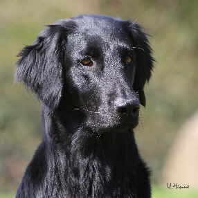 Dark Nobles History-Herself