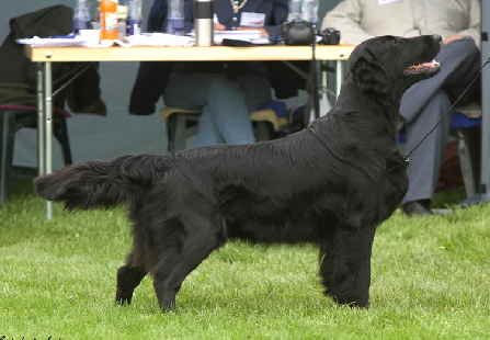 Micas Vater 2buisness